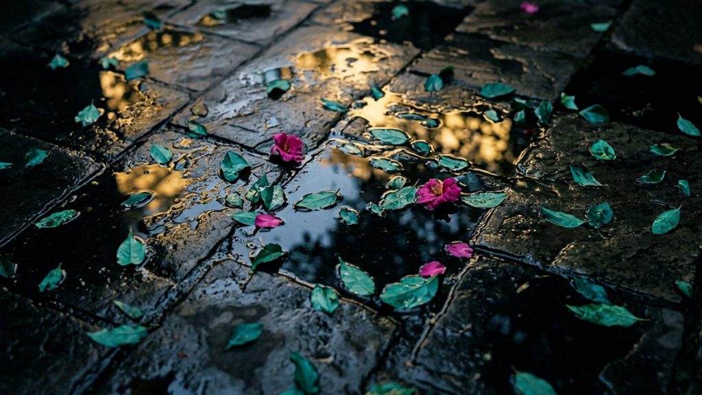 A still-life of puddles and wet leaves in a courtyard with sunlight breaking through, illustrating the Dua After Rainfall.