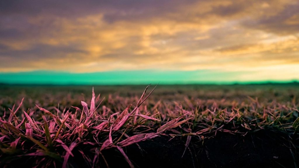 A still-life of a wide dawn sky above an empty open plain, illustrating the Dua for the Day of Judgement.