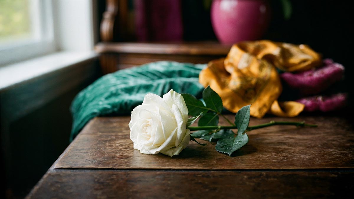 A single white rose resting on a plain surface in soft, gentle light, quiet and dignified, no people, illustrating the meaning of Inna Lillahi wa Inna Ilayhi Raji'un.