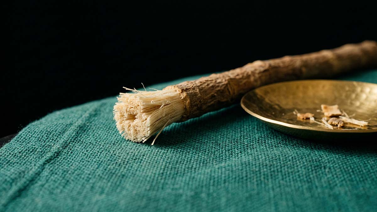 A natural Miswak twig with a frayed bristle tip on a teal linen runner, a traditional teeth-cleaning stick