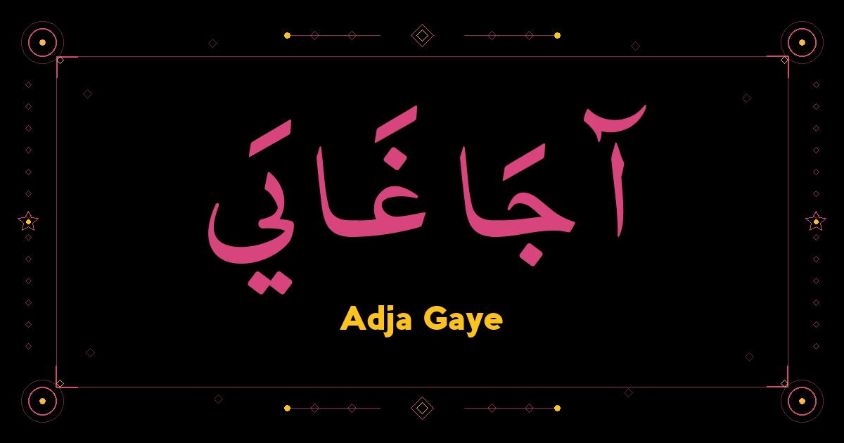 Adja Gaye