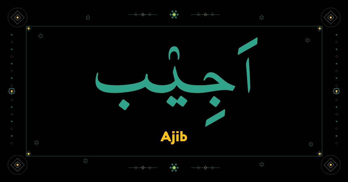 Ajib