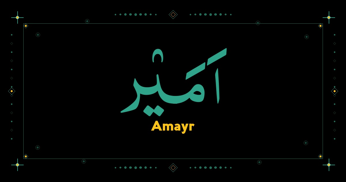 Amayr