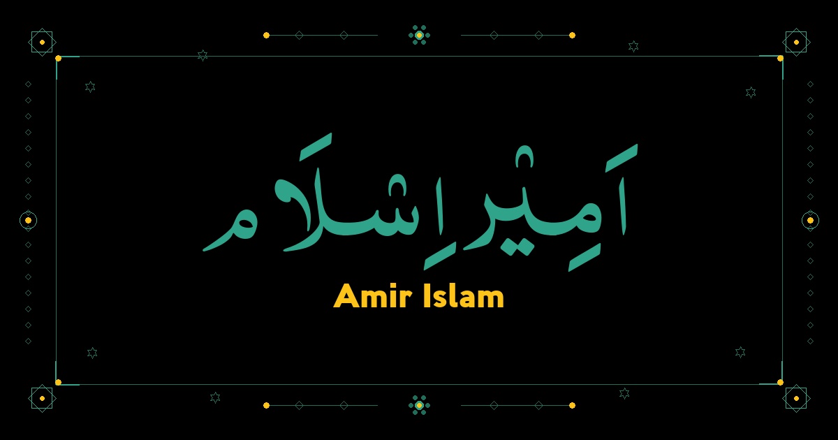 Amir Islam