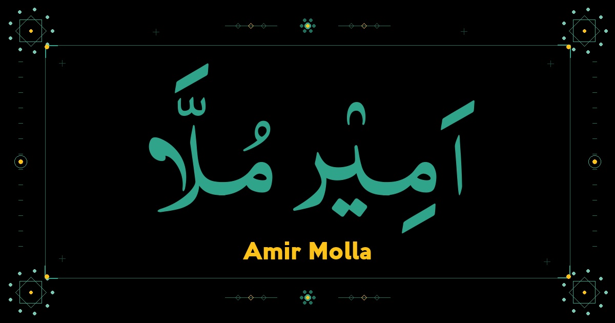 Amir Molla