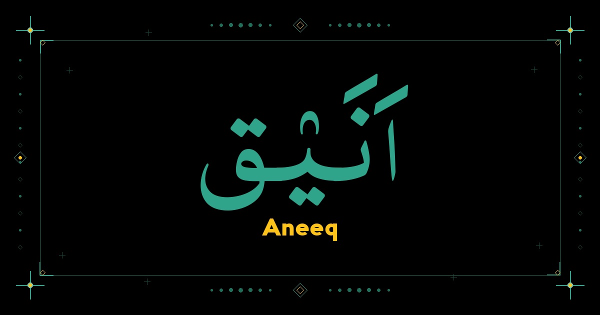 Aneeq