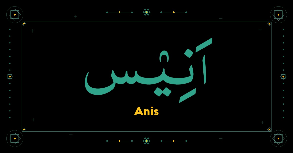 Anis