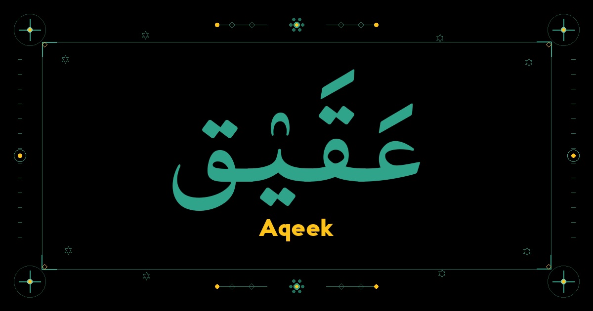 Aqeek