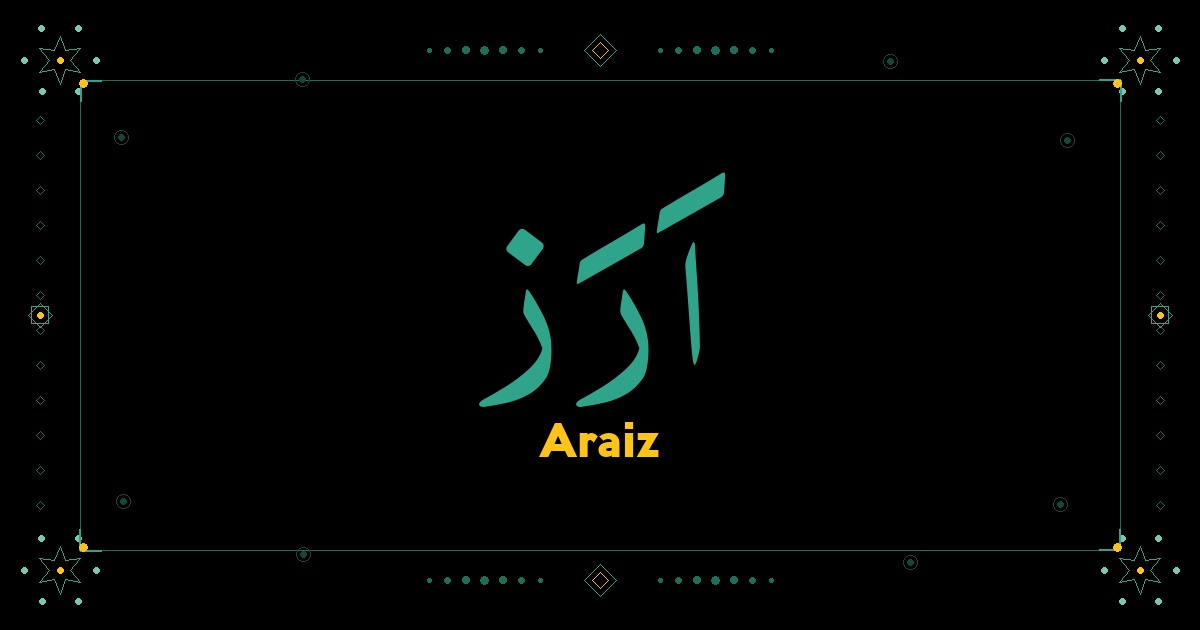 Araiz