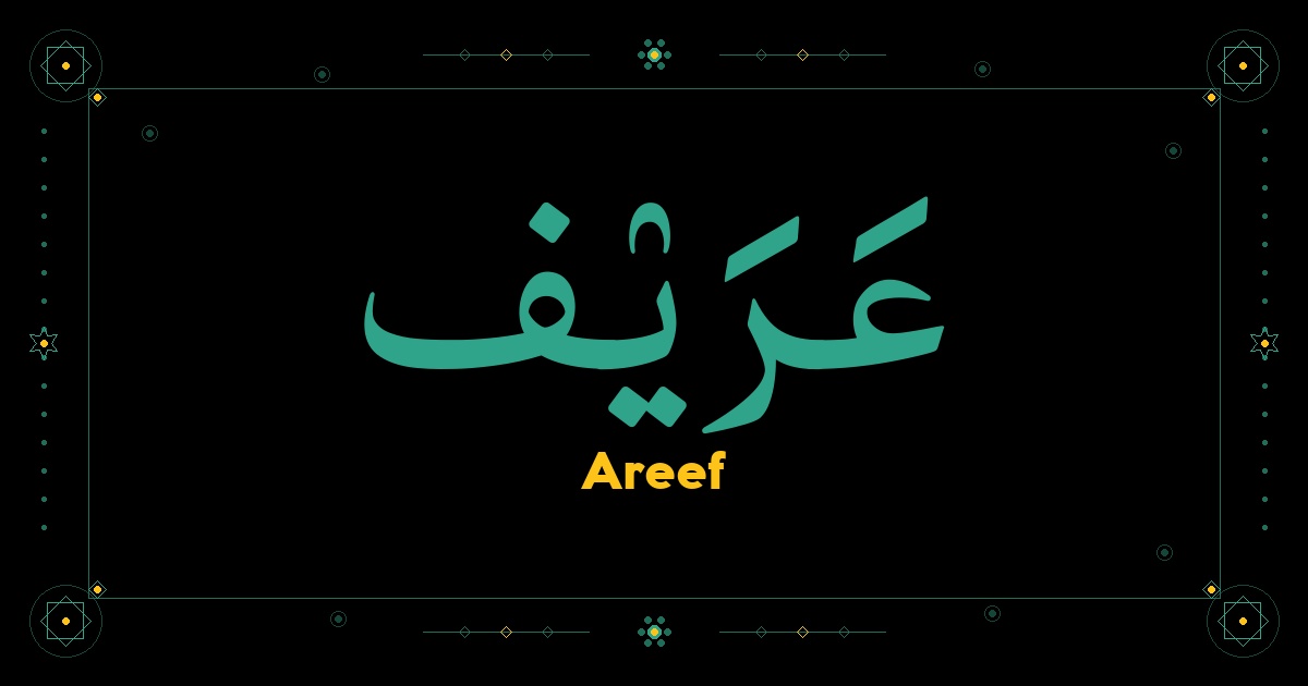 Areef