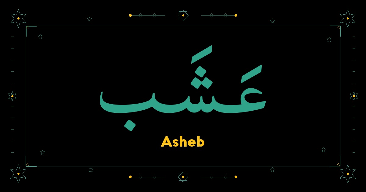 Asheb