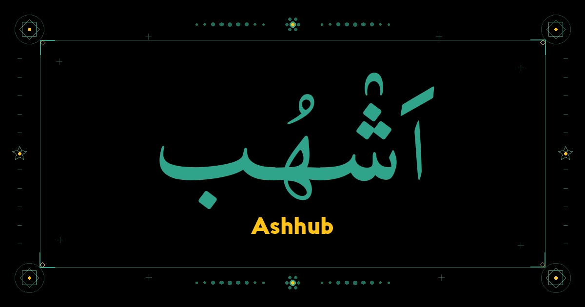 Ashhub