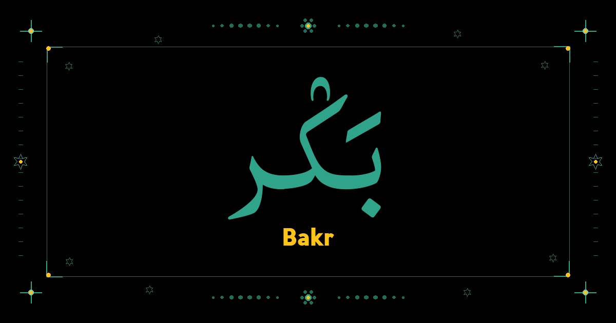 Bakr