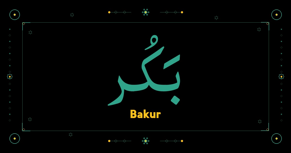 Bakur