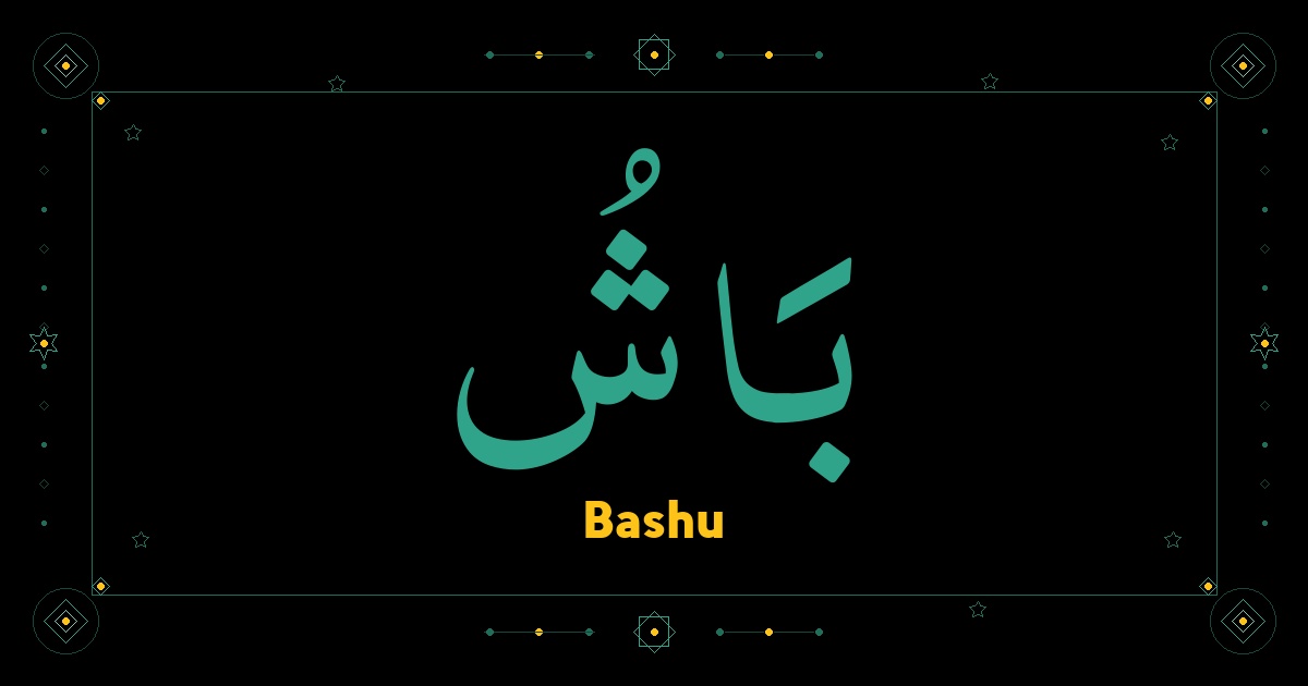 Bashu
