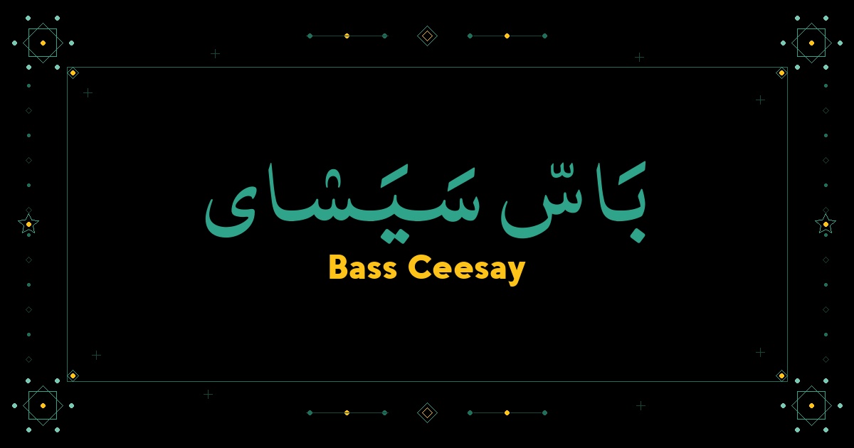 Bass Ceesay