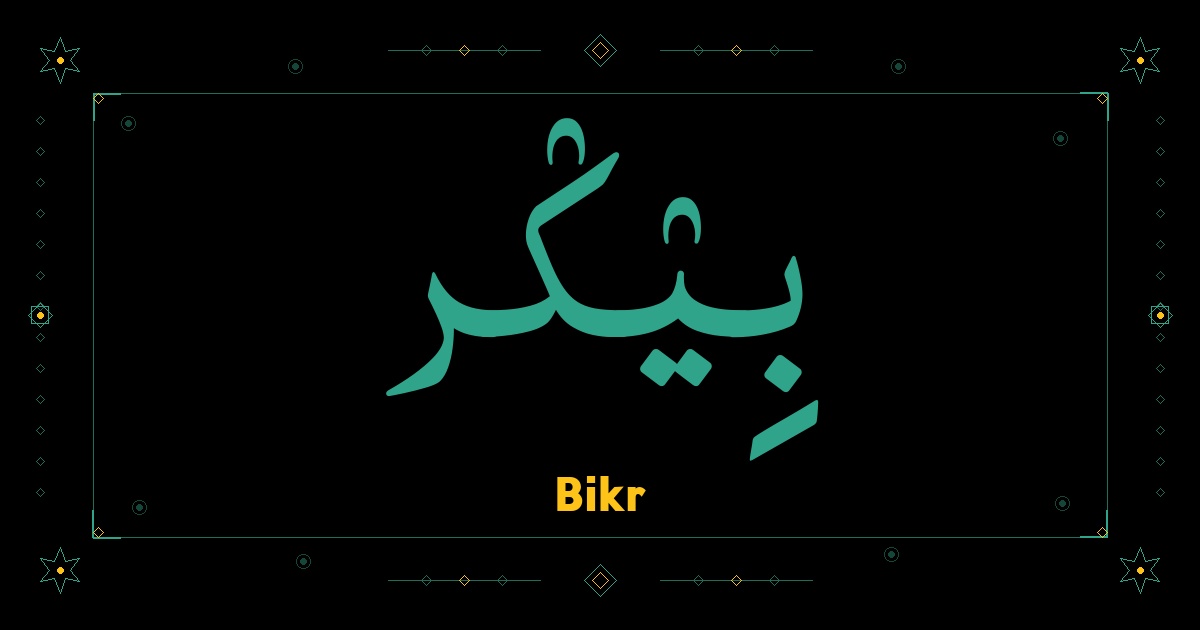 Bikr