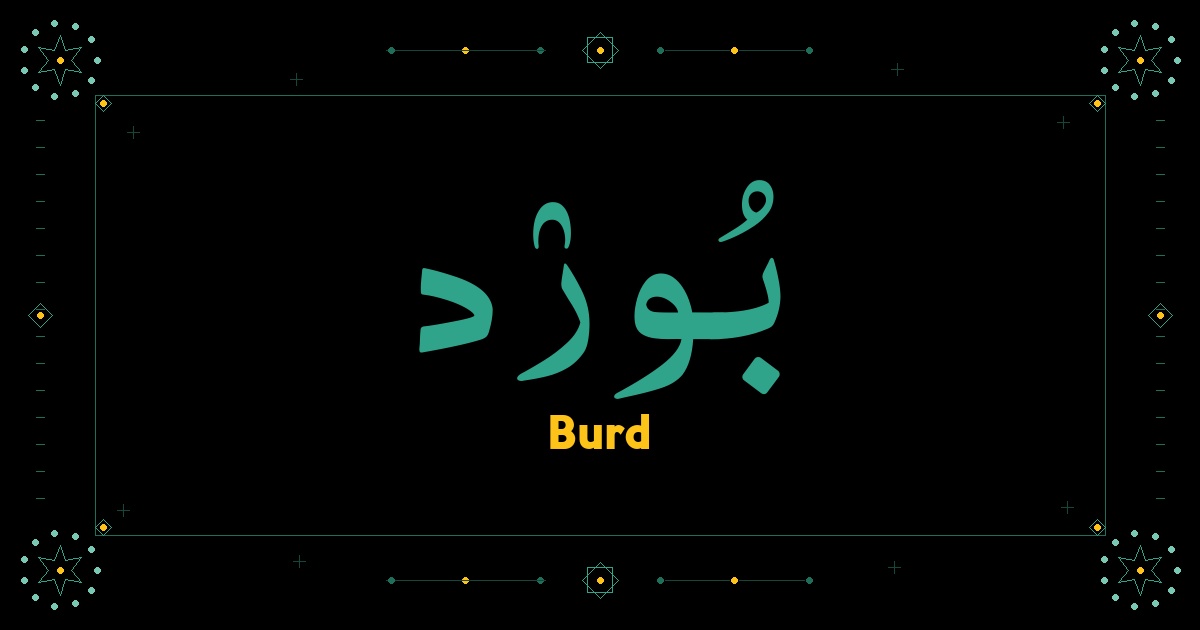 Burd