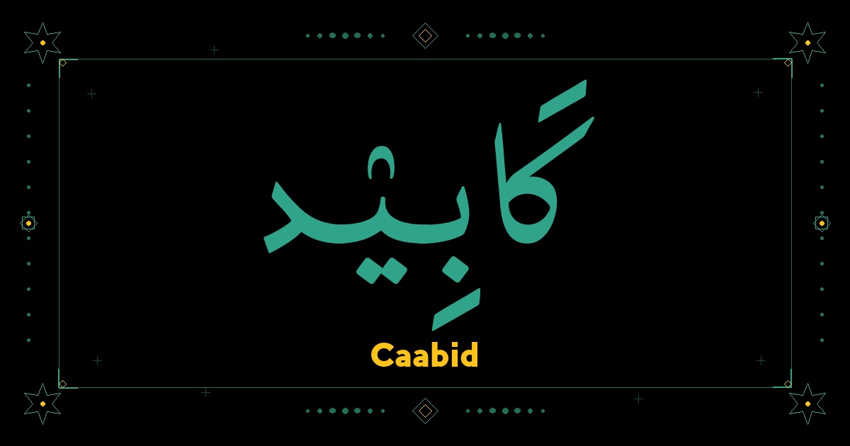 Caabid