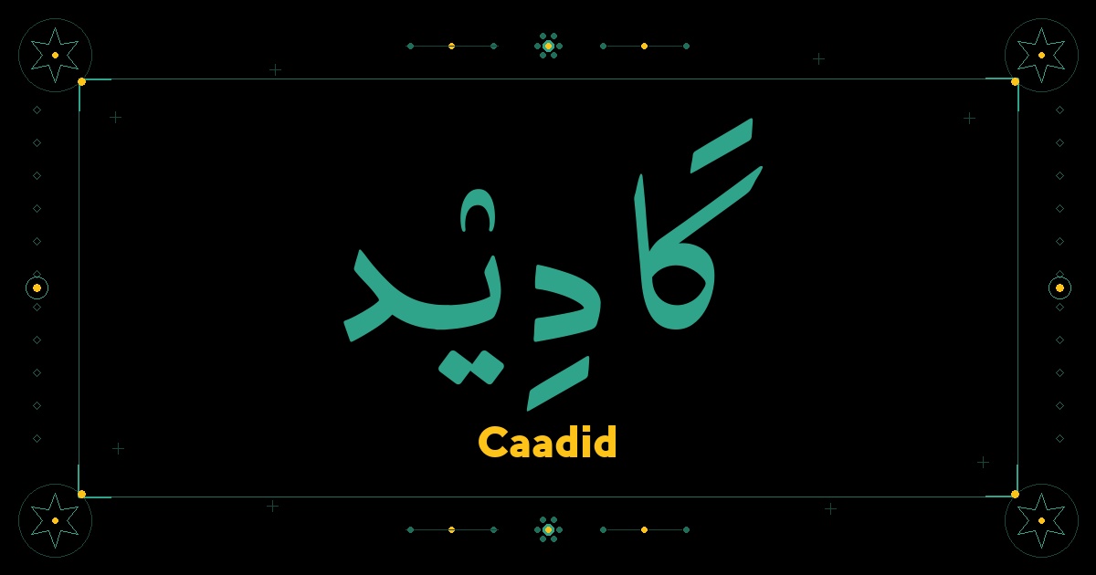 Caadid