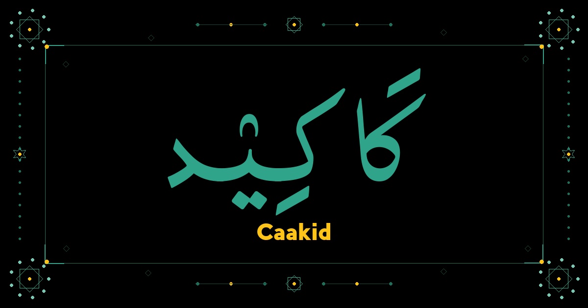 Caakid