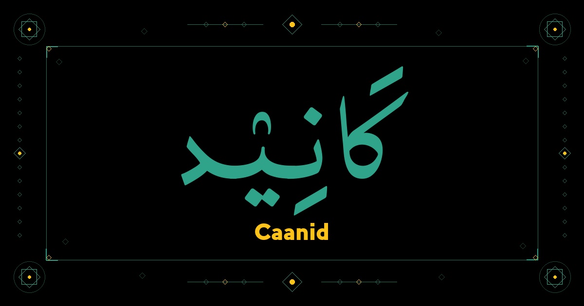 Caanid