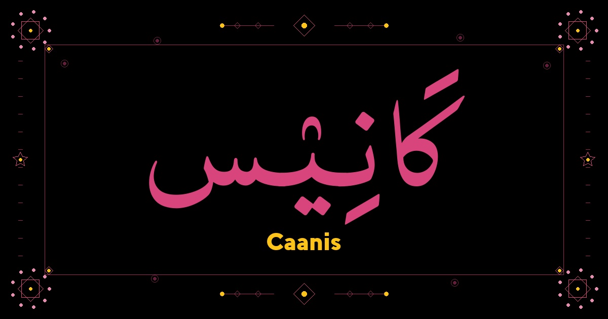 Caanis