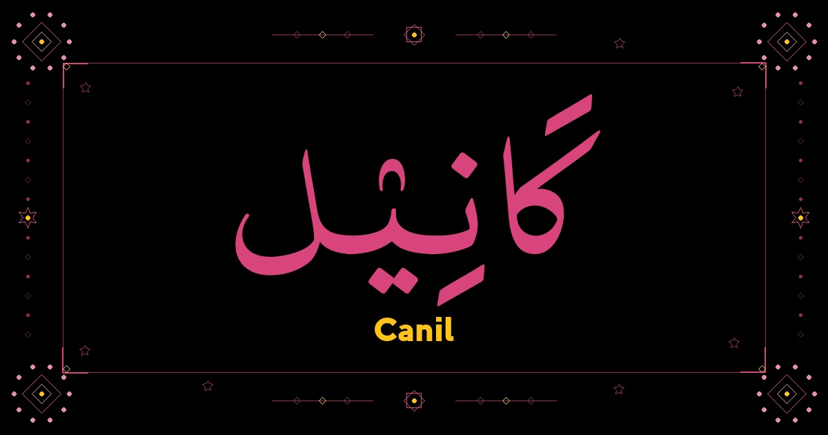 Canil