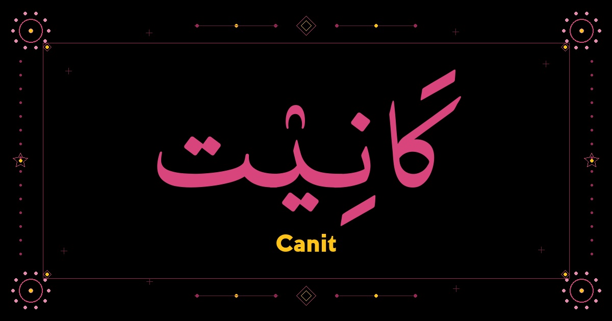 Canit