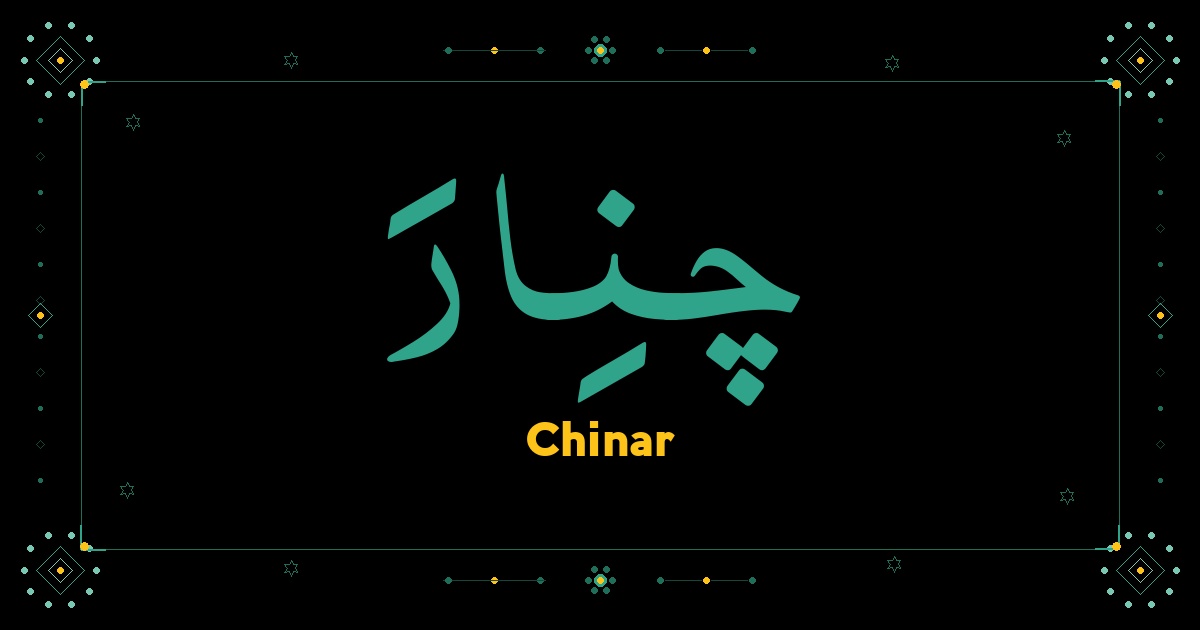 Chinar
