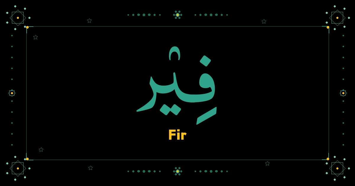 Fir