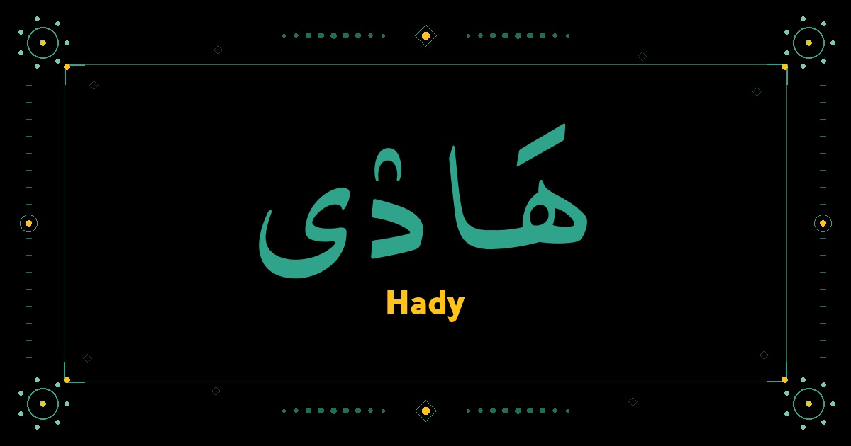 Hady
