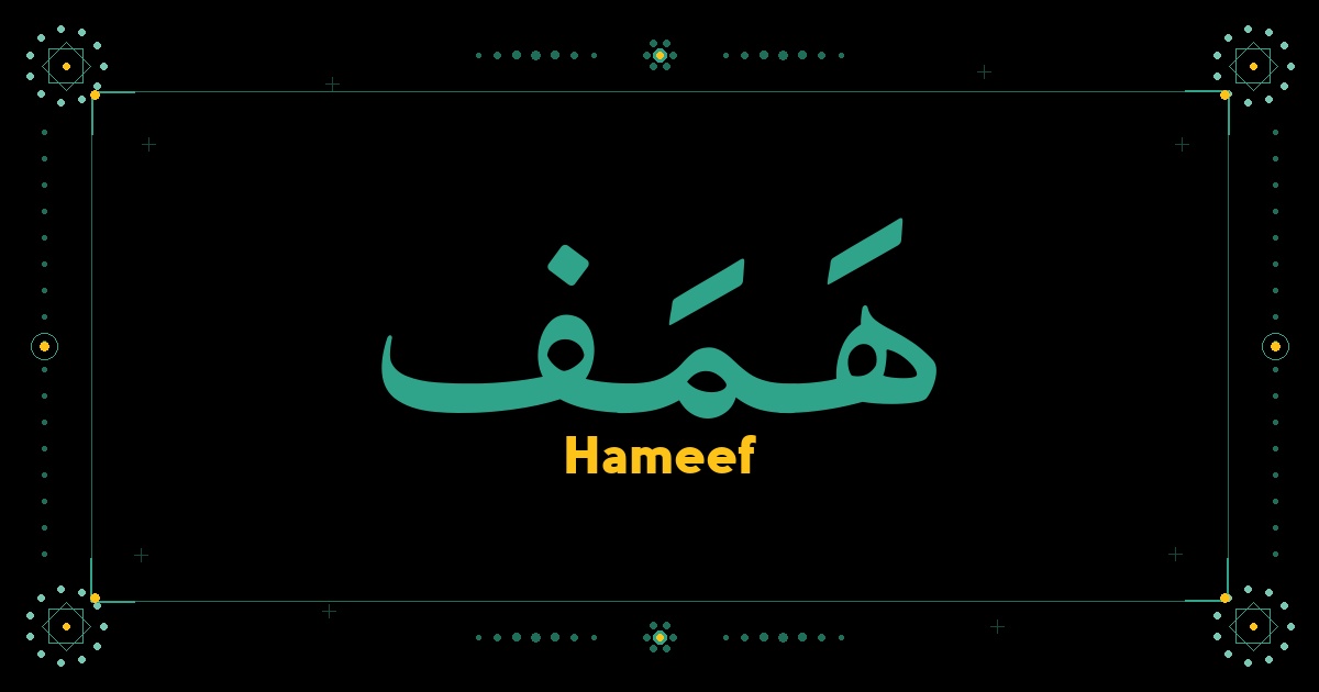 Hameef