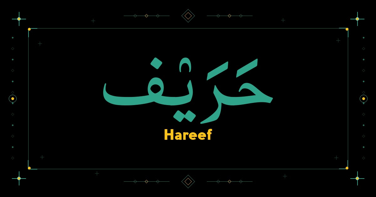 Hareef
