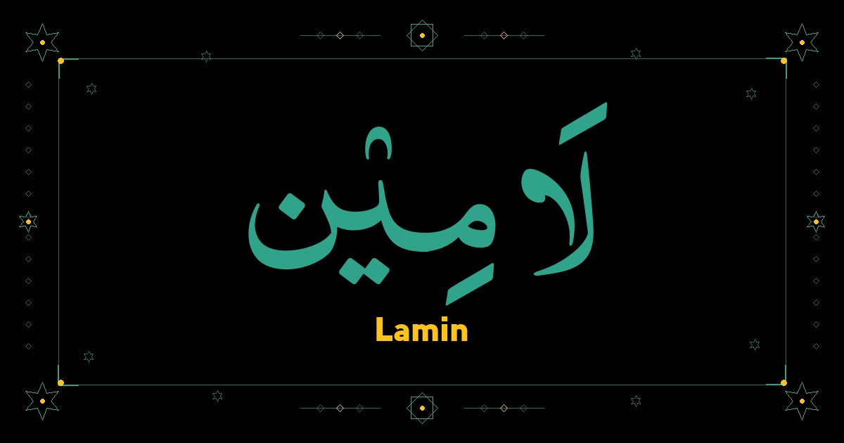 Lamin