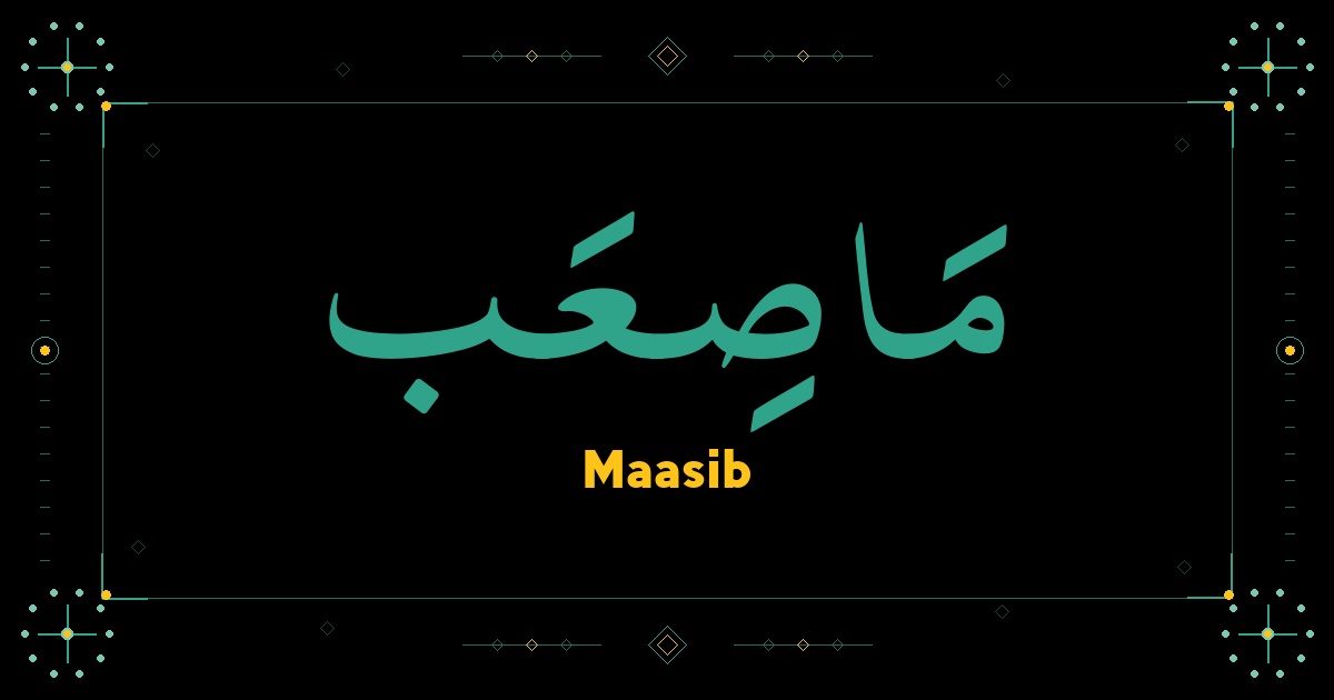 Maasib