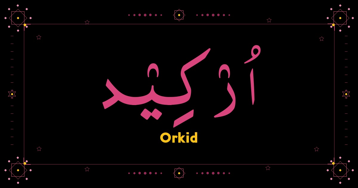 Orkid