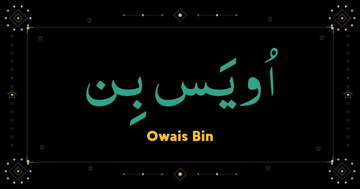 Owais Bin