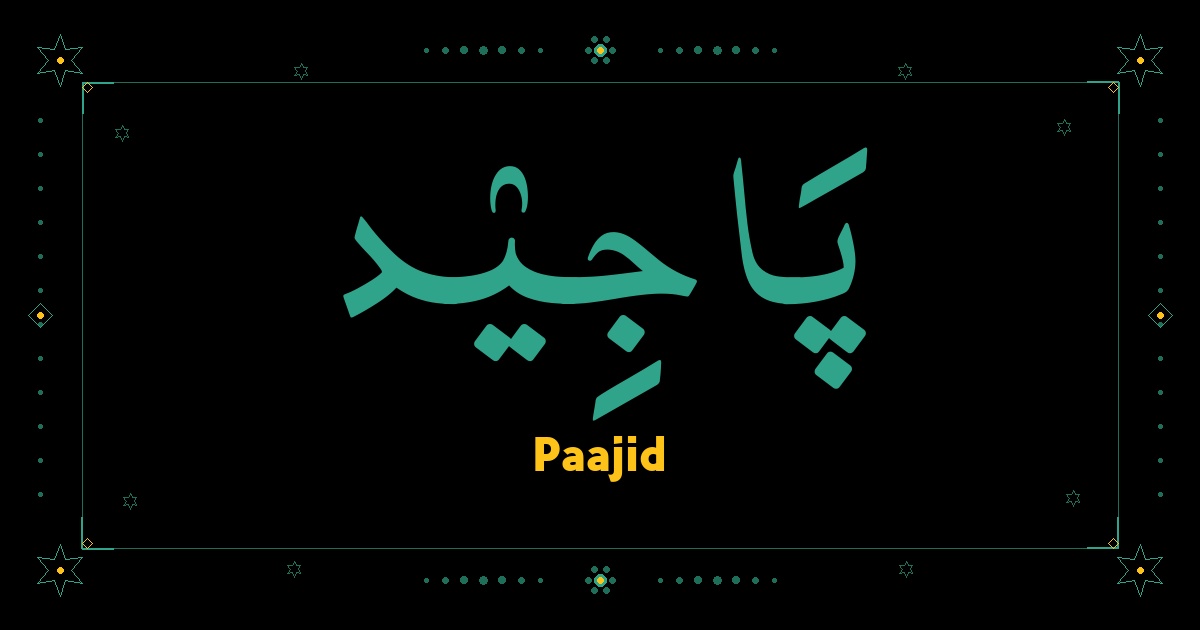 Paajid