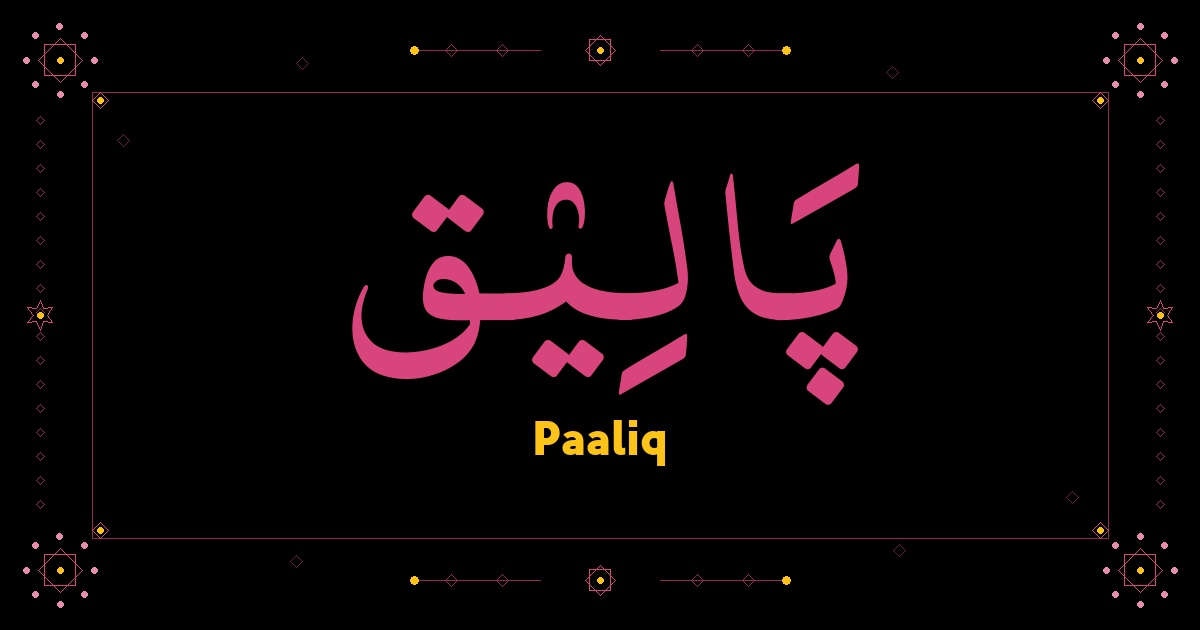 Paaliq
