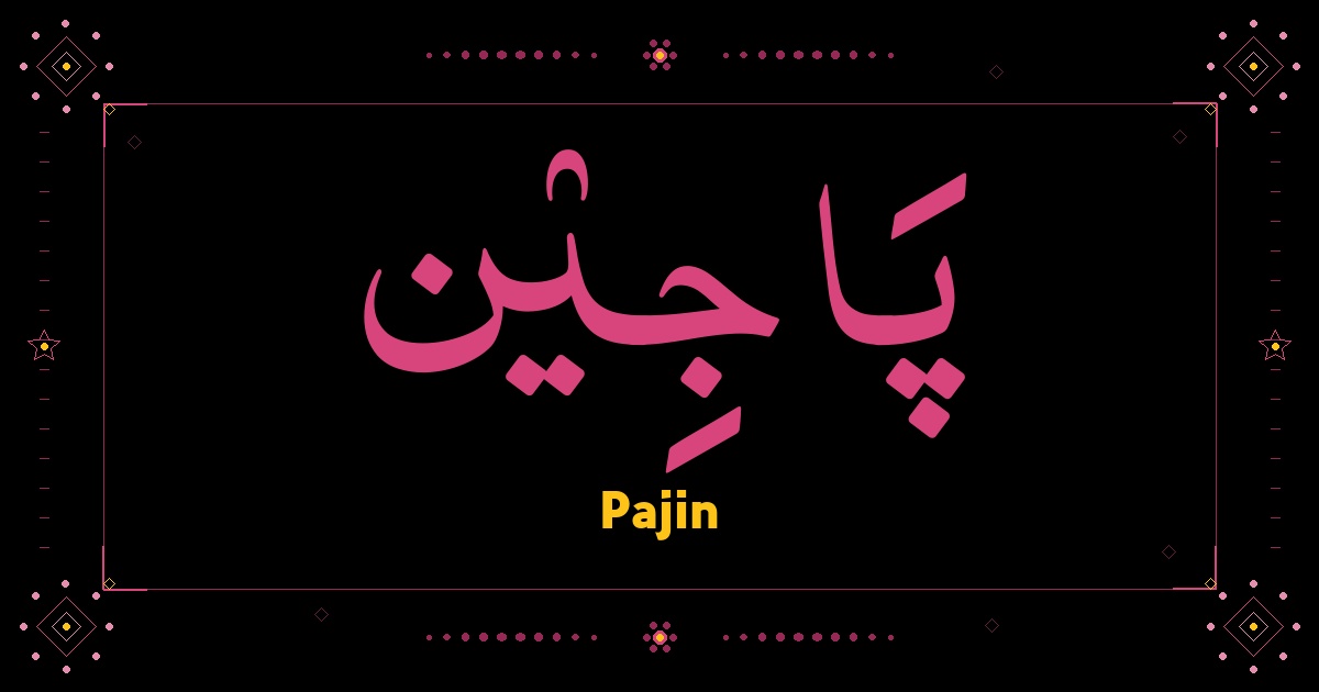 Pajin