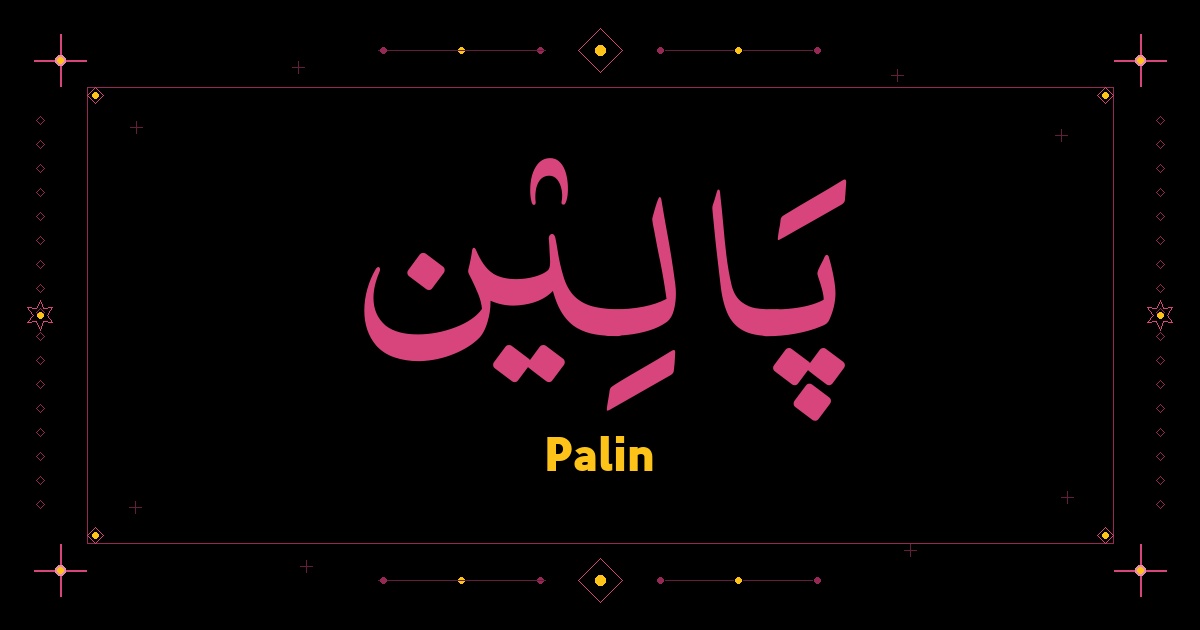 Palin