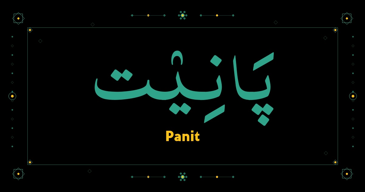 Panit