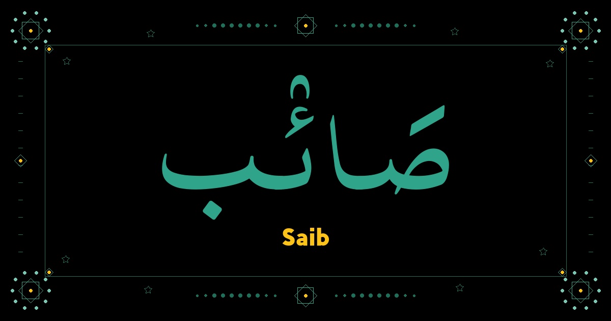 Saib