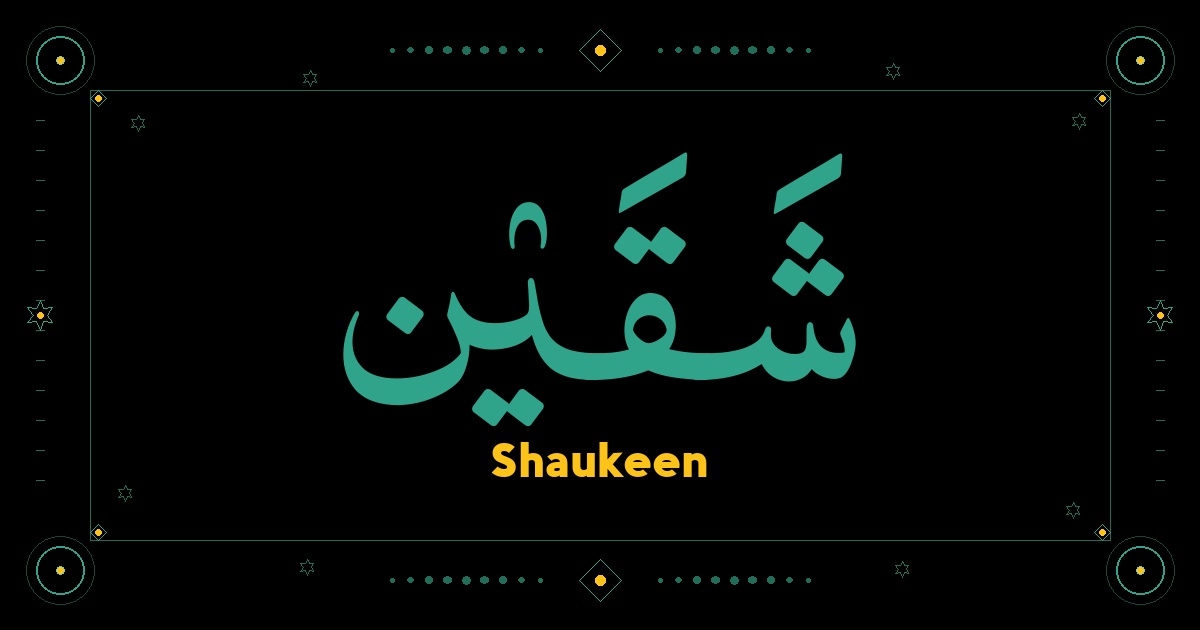 Shaukeen