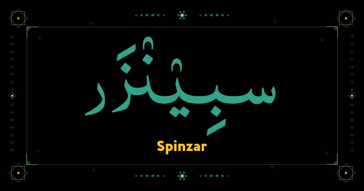 Spinzar