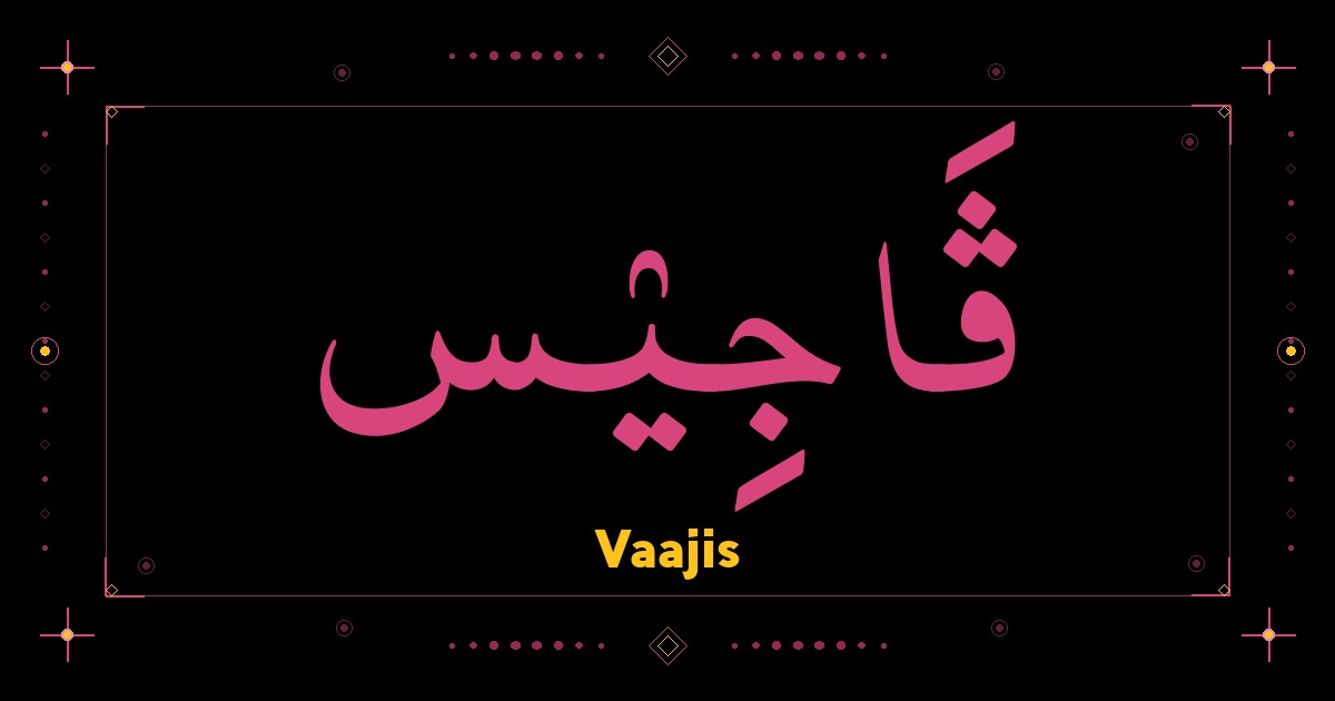 Vaajis