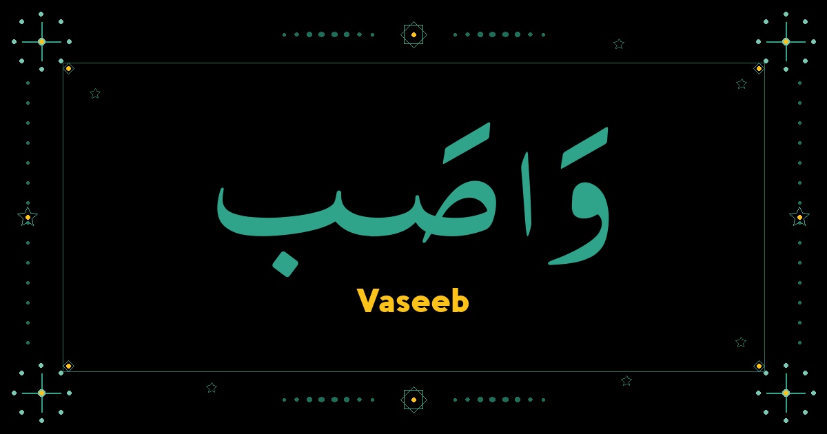 Vaseeb