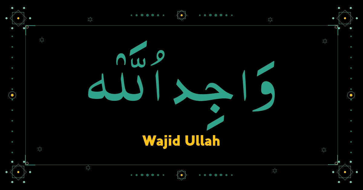 Wajid Ullah