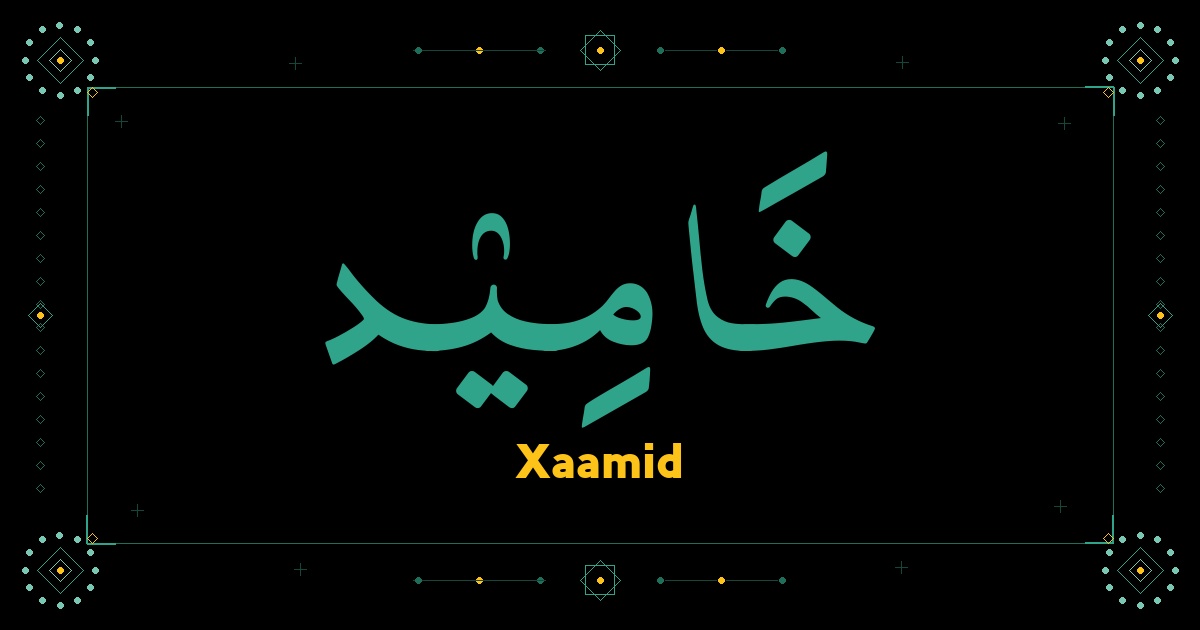 Xaamid
